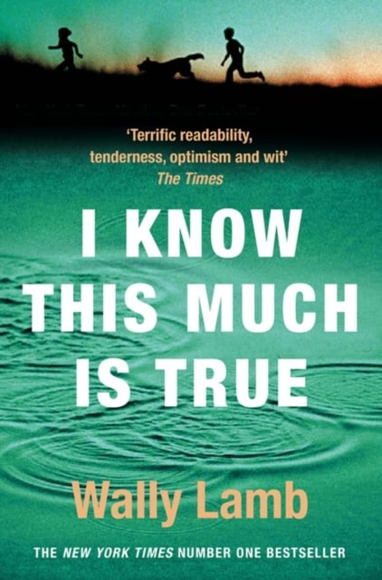 Book cover of I Know This Much is True