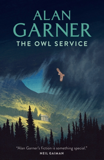 Book cover of The Owl Service