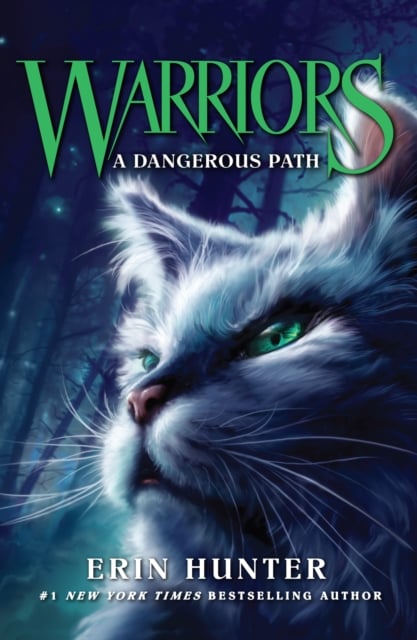 Warriors : The Broken Code Box Set: Volumes 1 to 6 by Erin Hunter