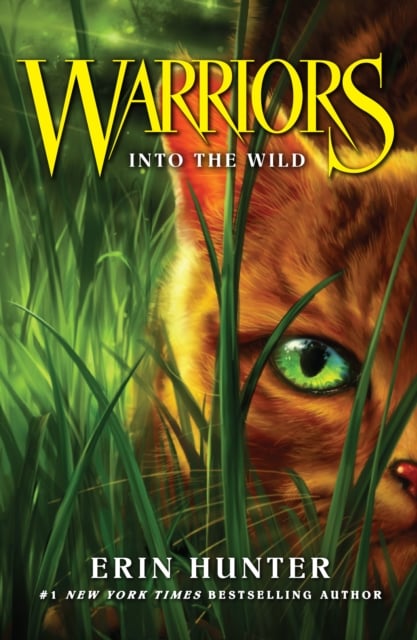 Into the wild deals book