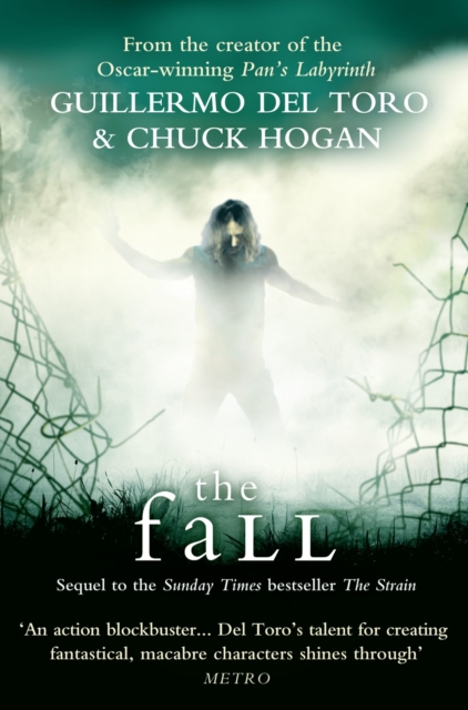 Book cover of The Fall
