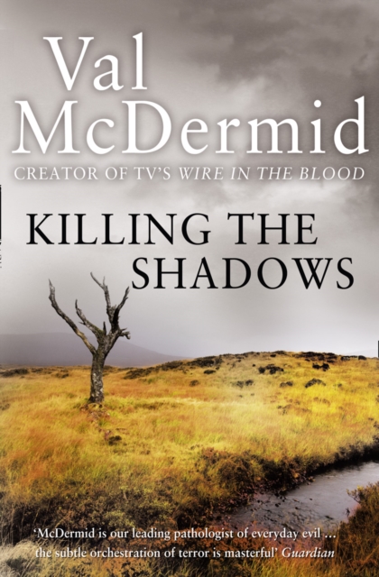 Book cover of Killing the Shadows