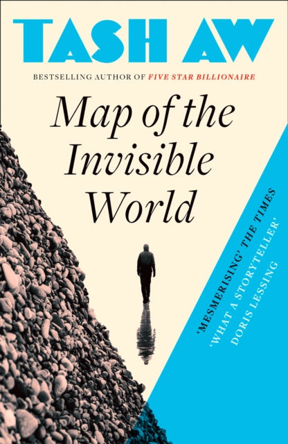 Book cover of Map of the Invisible World
