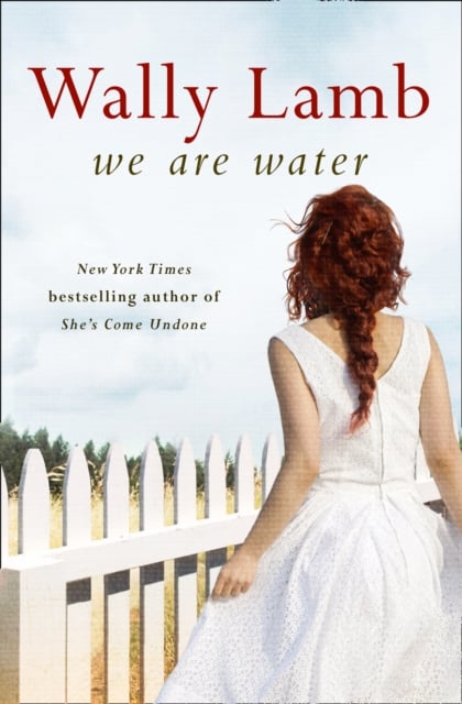 Book cover of We Are Water
