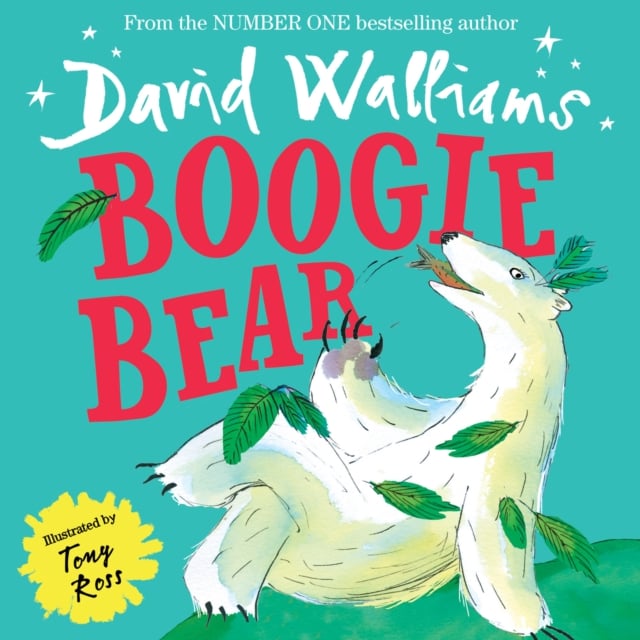 Book cover of Boogie Bear