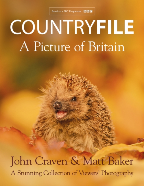 Book cover of Countryfile – A Picture of Britain