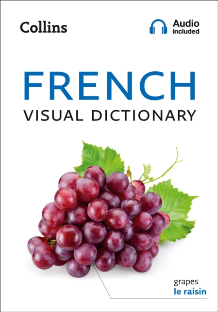 Book cover of French Visual Dictionary