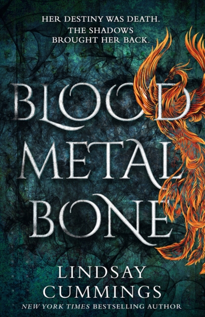 Book cover of Blood Metal Bone