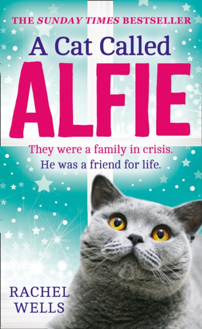 Book cover of A Cat Called Alfie