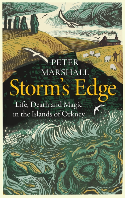 Book cover of Storm’s Edge