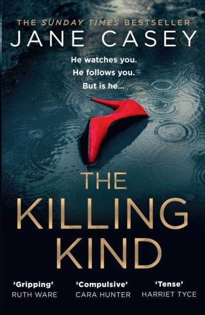 Book cover of The Killing Kind