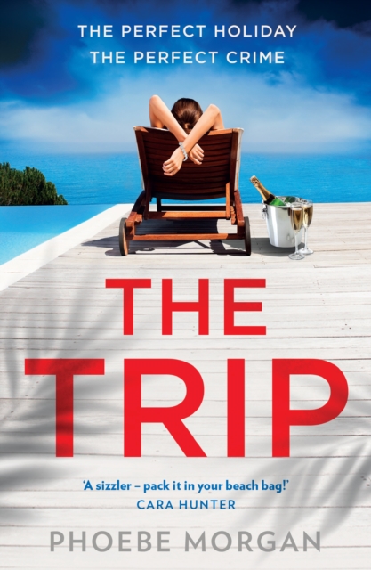 Book cover of The Trip