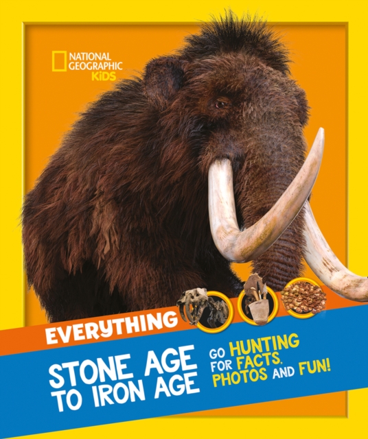 Book cover of Everything: Stone Age to Iron Age