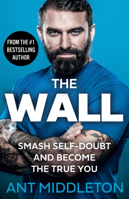 Book cover of The Wall