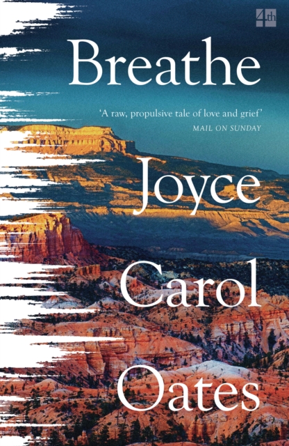 Book cover of Breathe