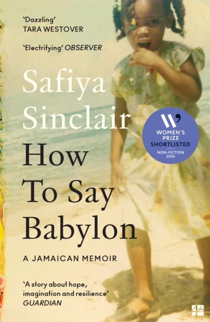 Book cover of How To Say Babylon