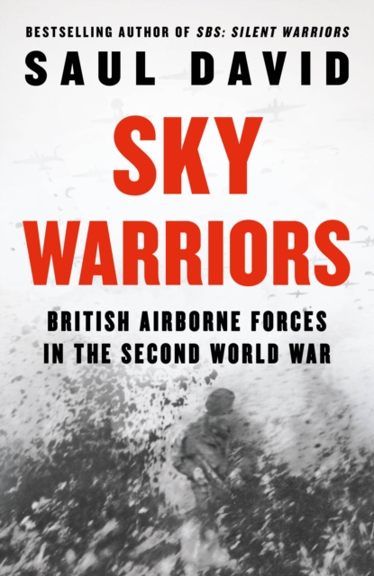 Book cover of Sky Warriors