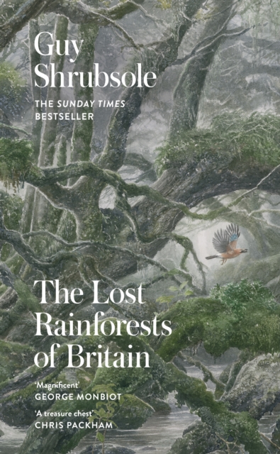 Book cover of The Lost Rainforests of Britain