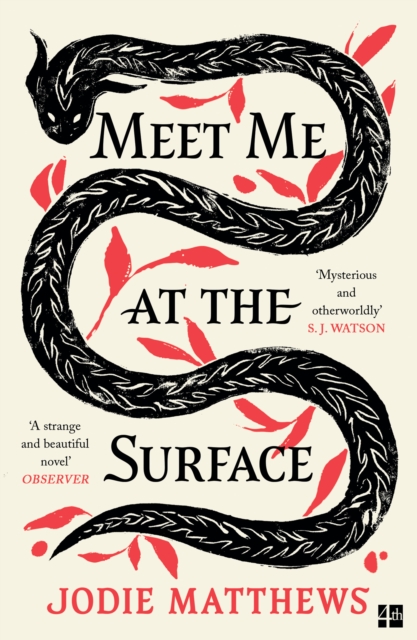 Book cover of Meet Me at the Surface