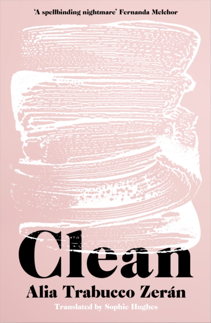 Book cover of Clean