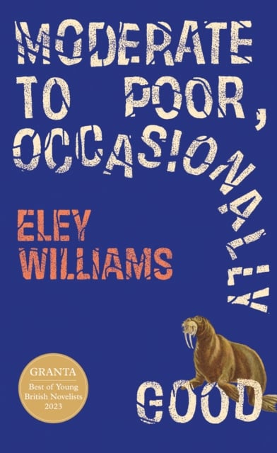 Book cover of Moderate to Poor, Occasionally Good