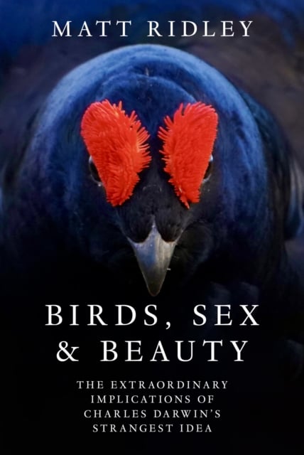 Book cover of Birds, Sex and Beauty