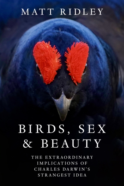 Book cover of Birds, Sex and Beauty