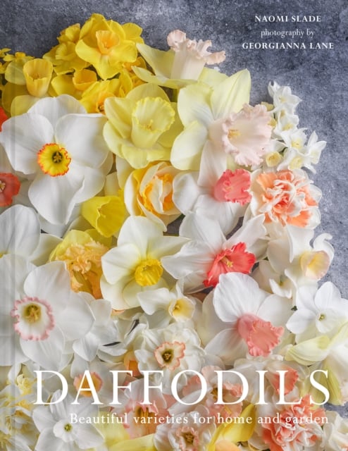 Book cover of Daffodils