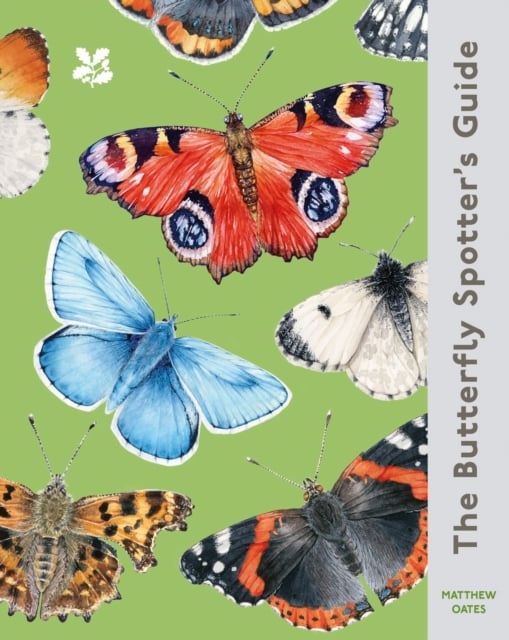 Book cover of The Butterfly Spotter’s Guide