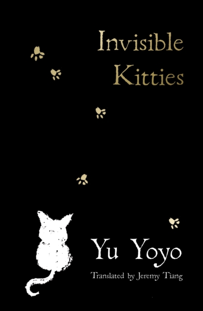 Book cover of Invisible Kitties