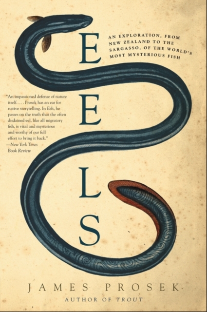 Book cover of Eels