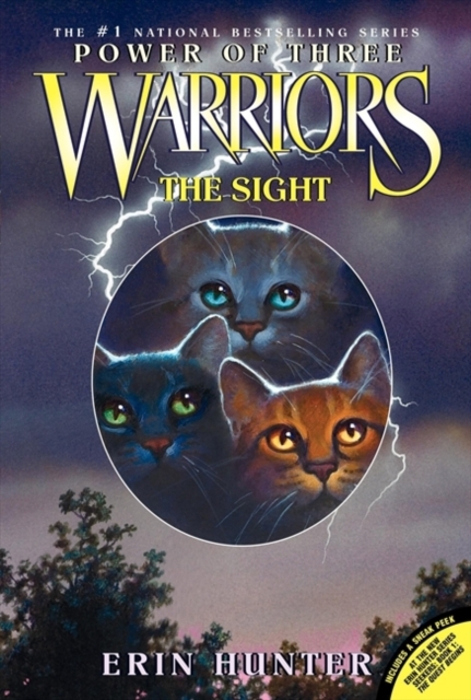 Book cover of The Sight