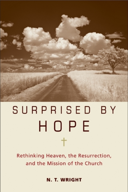 Book cover of Surprised by Hope