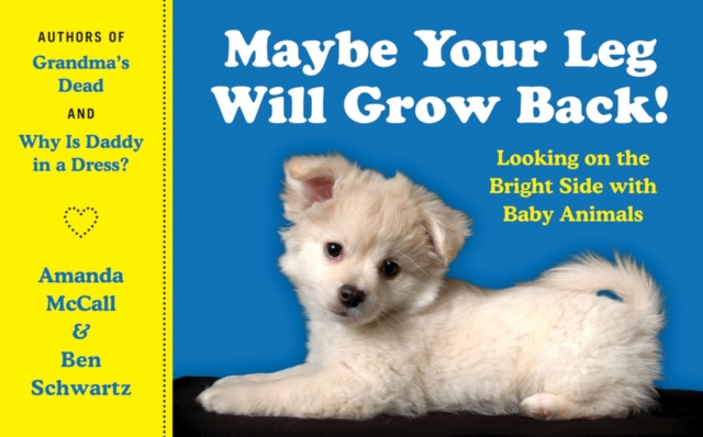 Book cover of Maybe Your Leg Will Grow Back!