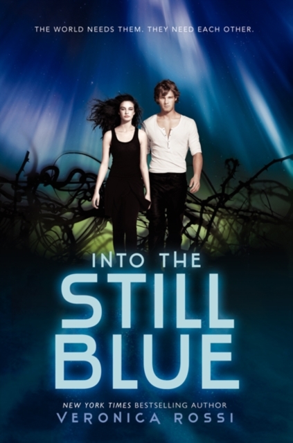 Book cover of Into the Still Blue