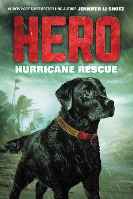 Book cover of Hurricane Rescue