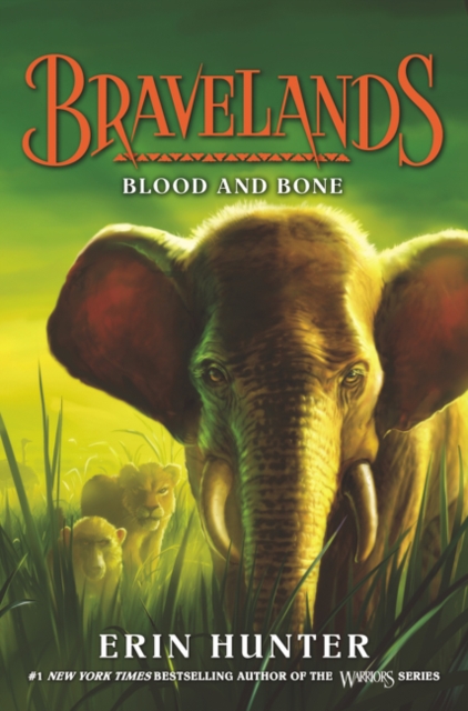 Book cover of Blood and Bone