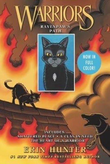 Book cover of Warriors: Ravenpaw's Path