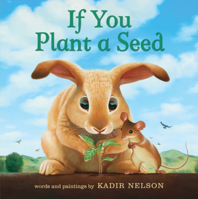 Book cover of If You Plant a Seed Board Book