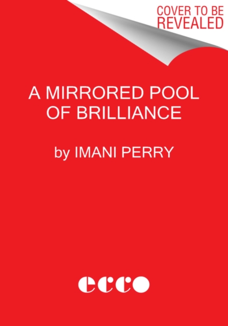 Book cover of South to America
