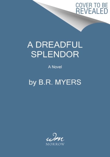 Book cover of A Dreadful Splendor