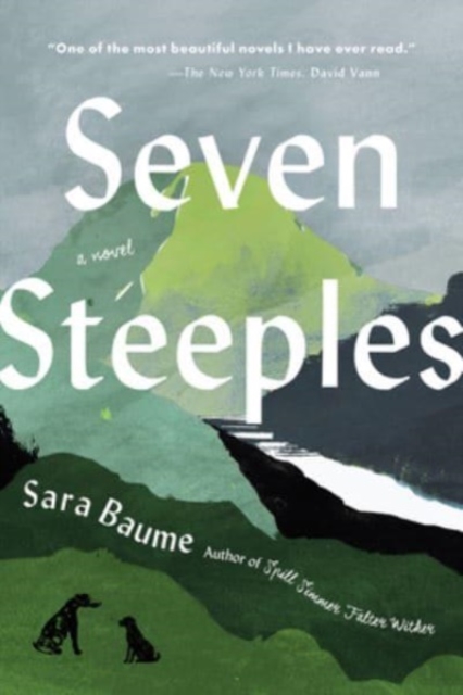 Book cover of Seven Steeples