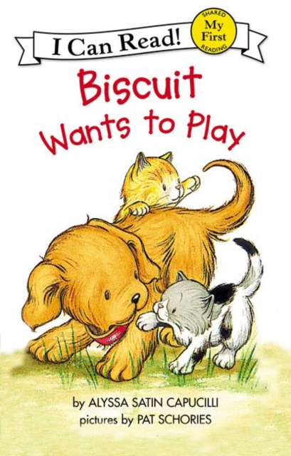Book cover of Biscuit Wants to Play