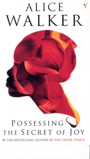 Book cover of Possessing The Secret Of Joy