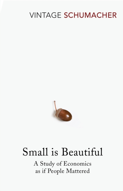 Book cover of Small Is Beautiful