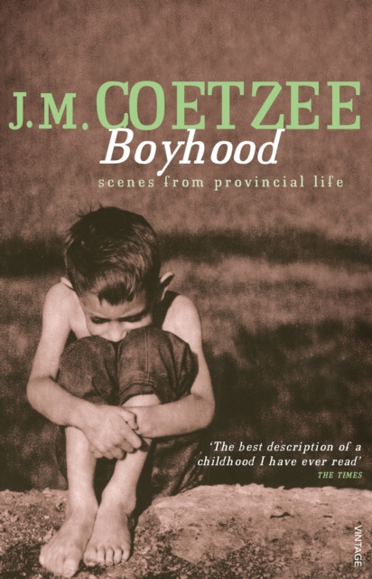 Book cover of Boyhood