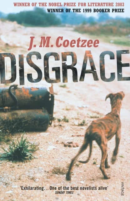 Book cover of Disgrace