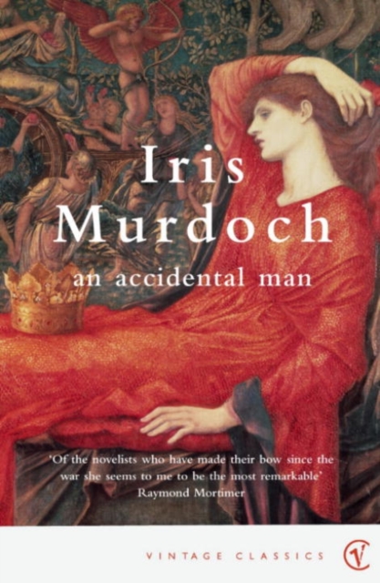 Book cover of An Accidental Man