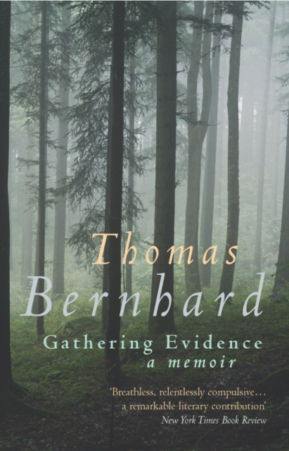 Book cover of Gathering Evidence