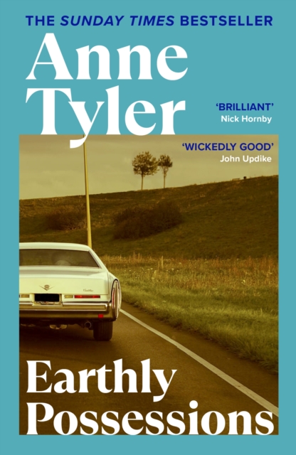 Book cover of Earthly Possessions